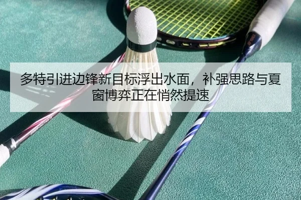多特引进边锋新目标浮出水面，补强思路与夏窗博弈正在悄然提速